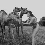 Bettie Page at nylon.net