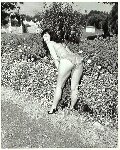 Bettie Page at nylon.net