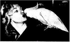 Sabrina and Charlie the cockatoo 1956