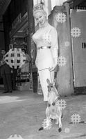 September 15, 1959. Brisbane, QLD. Movie actress Sabrina with a kangaroo in Queens St in the city