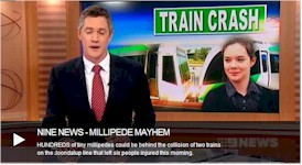 Millipede train crash